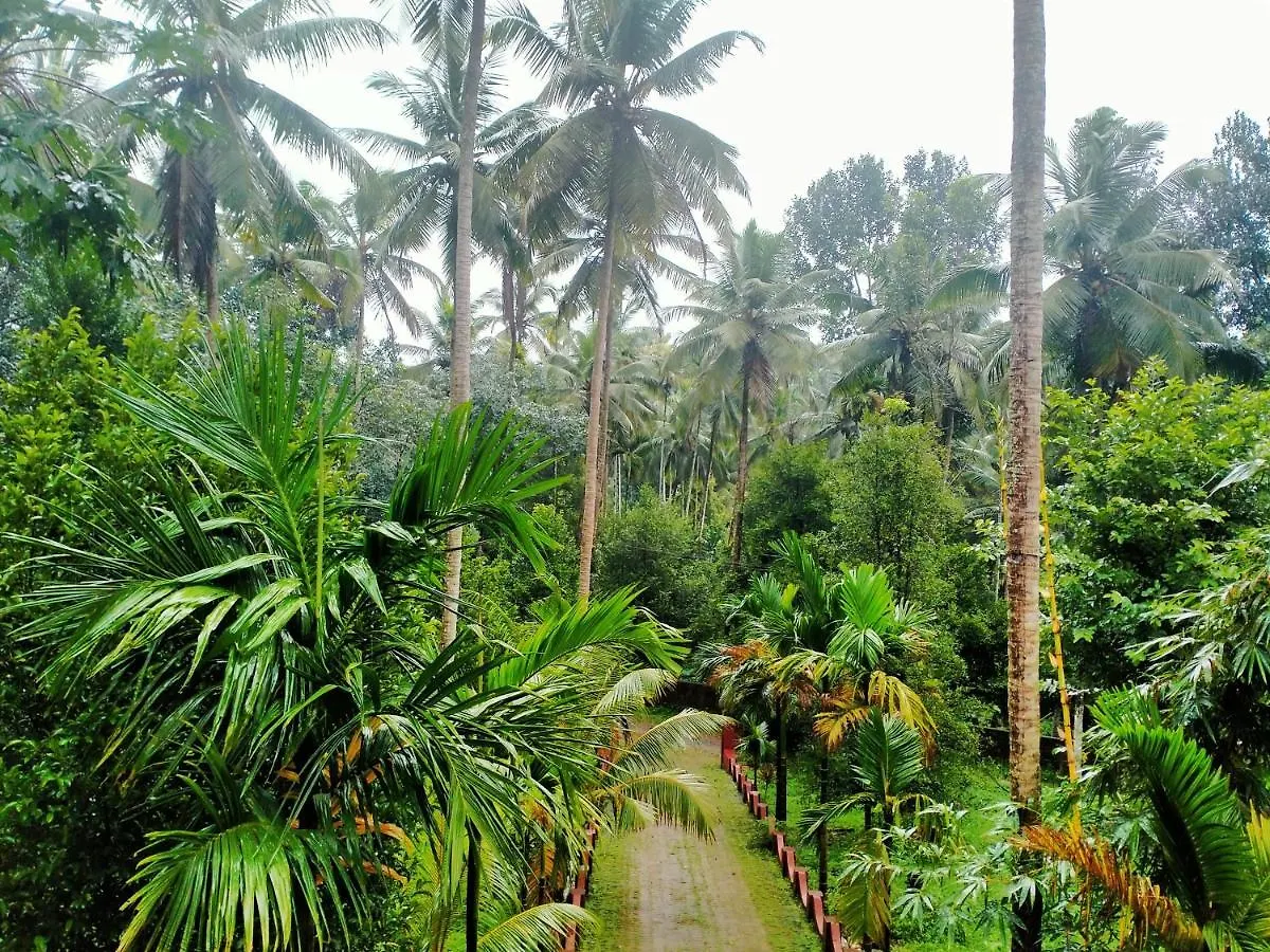 The Farm House,Home Stay Villa - Shanthi Nagar Agro Farms At A Drivable Distance From Vythiri Approx 30Km,Kozhikode Approx 25Km ,Thusharagiri Falls 14Km Approx Kedavūr